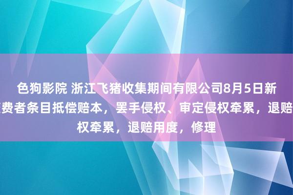 色狗影院 浙江飞猪收集期间有限公司8月5日新增投诉，糜费者条目抵偿赔本，罢手侵权、审定侵权牵累，退赔用度，修理