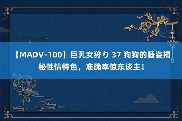 【MADV-100】巨乳女狩り 37 狗狗的睡姿揭秘性情特色，准确率惊东谈主！