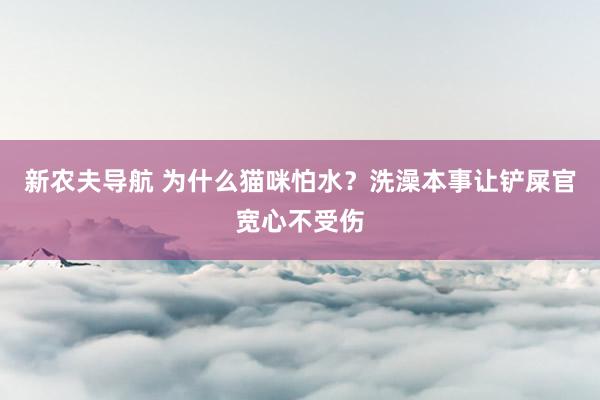 新农夫导航 为什么猫咪怕水？洗澡本事让铲屎官宽心不受伤