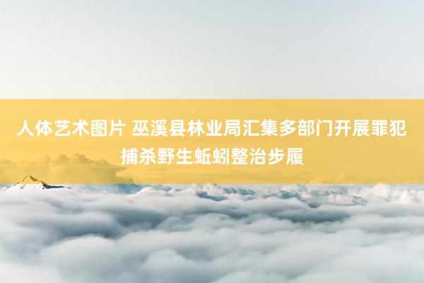 人体艺术图片 巫溪县林业局汇集多部门开展罪犯捕杀野生蚯蚓整治步履