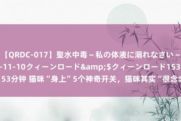 【QRDC-017】聖水中毒～私の体液に溺れなさい～</a>2017-11-10クィーンロード&$クィーンロード153分钟 猫咪“身上”5个神奇开关，猫咪其实“很念念”让你知说念，你知说念吗