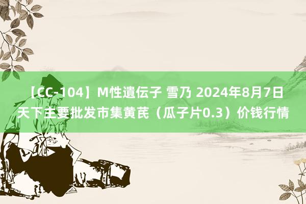 【CC-104】M性遺伝子 雪乃 2024年8月7日天下主要批发市集黄芪（瓜子片0.3）价钱行情