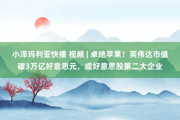 小泽玛利亚快播 视频 | 卓绝苹果！英伟达市值破3万亿好意思元，成好意思股第二大企业