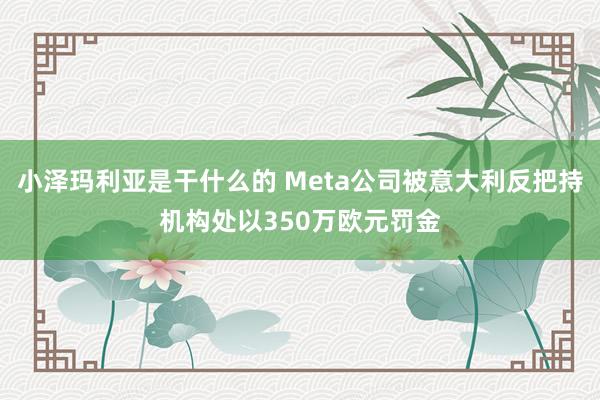 小泽玛利亚是干什么的 Meta公司被意大利反把持机构处以350万欧元罚金