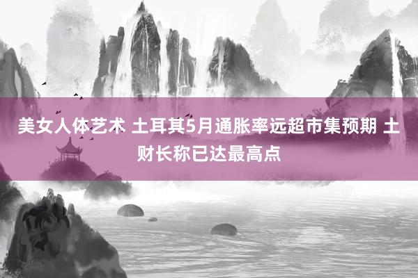 美女人体艺术 土耳其5月通胀率远超市集预期 土财长称已达最高点