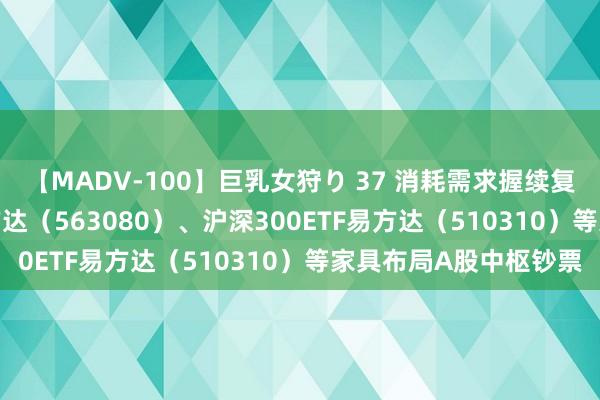 【MADV-100】巨乳女狩り 37 消耗需求握续复原，中证A50ETF易方达（563080）、沪深300ETF易方达（510310）等家具布局A股中枢钞票