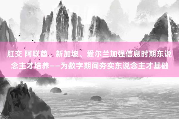 肛交 阿联酋、新加坡、爱尔兰加强信息时期东说念主才培养——为数字期间夯实东说念主才基础