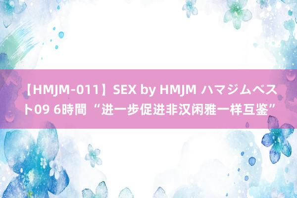 【HMJM-011】SEX by HMJM ハマジムベスト09 6時間 “进一步促进非汉闲雅一样互鉴”