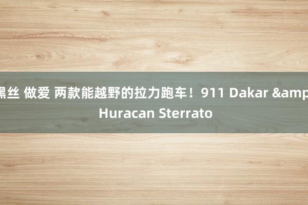 黑丝 做爱 两款能越野的拉力跑车！911 Dakar & Huracan Sterrato