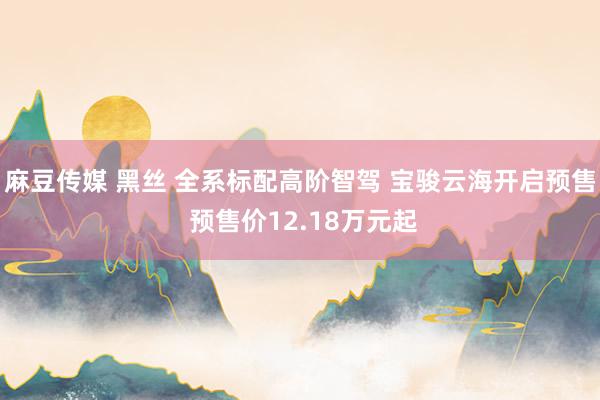 麻豆传媒 黑丝 全系标配高阶智驾 宝骏云海开启预售 预售价12.18万元起