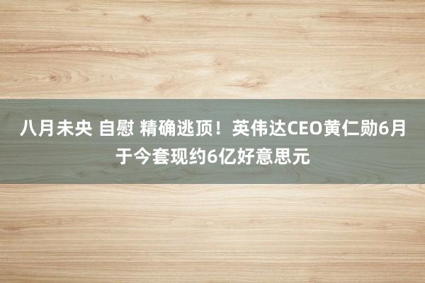 八月未央 自慰 精确逃顶！英伟达CEO黄仁勋6月于今套现约6亿好意思元