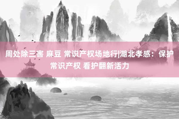 周处除三害 麻豆 常识产权场地行|湖北孝感：保护常识产权 看护翻新活力