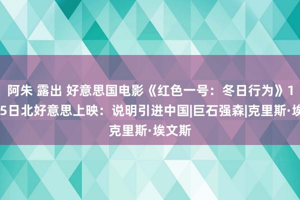 阿朱 露出 好意思国电影《红色一号：冬日行为》11月15日北好意思上映：说明引进中国|巨石强森|克里斯·埃文斯