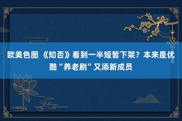 欧美色图 《知否》看到一半短暂下架？本来是优酷“养老剧”又添新成员