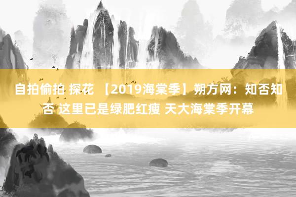 自拍偷拍 探花 【2019海棠季】朔方网：知否知否 这里已是绿肥红瘦 天大海棠季开幕