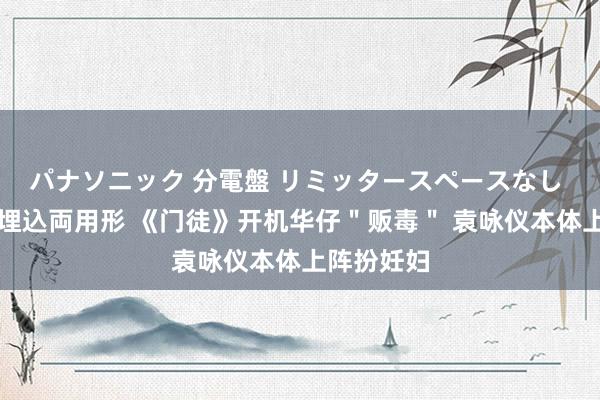 パナソニック 分電盤 リミッタースペースなし 露出・半埋込両用形 《门徒》开机华仔＂贩毒＂ 袁咏仪本体上阵扮妊妇