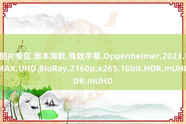 图片专区 奥本海默.殊效字幕.Oppenheimer.2023.IMAX.UHD.BluRay.2160p.x265.10bit.HDR.mUHD