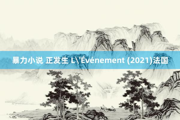 暴力小说 正发生 L'Événement (2021)法国